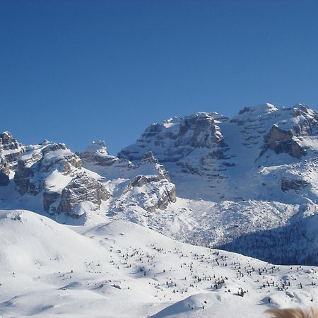 Hotel Europa Madonna di Campiglio Bagian luar foto
